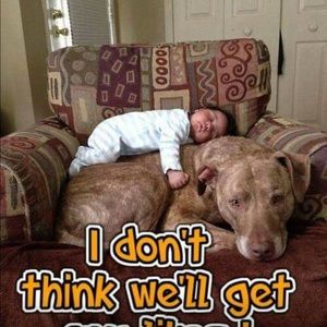 Meet your Posher, Bobby